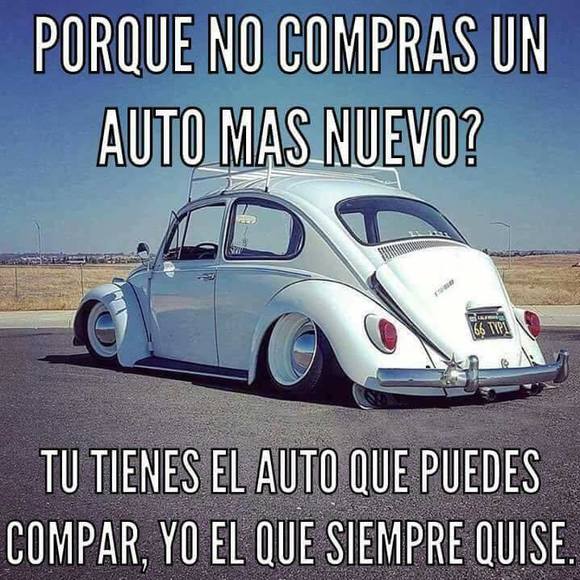 Meet your Posher, Alfredo - Picture 1 of 2